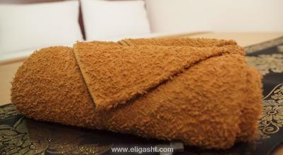 ولا پارک هتل