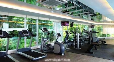 داماس سوئیتس اند رزیدنس