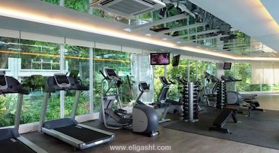 داماس سوئیتس اند رزیدنس