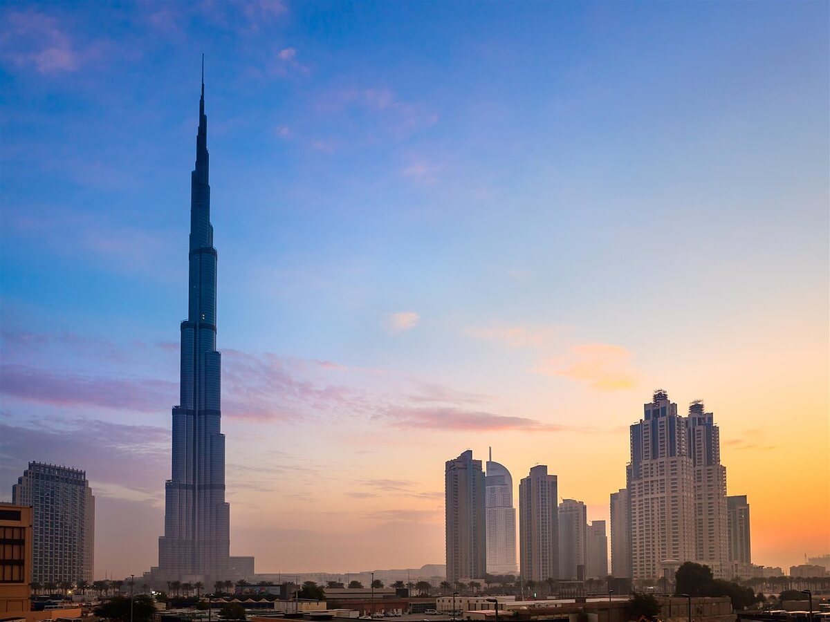 داماک میسون کور جاردین