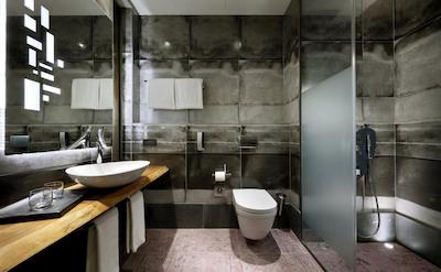 اکونیک د پابلیک