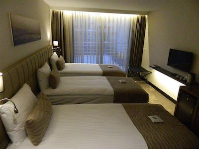 این سیتی هتل نیشان تاشی