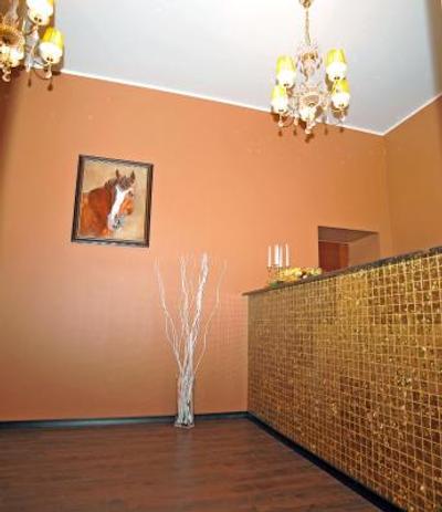 وینتیج شرمتیوو