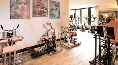 لئوناردو هتل هانوفر‌