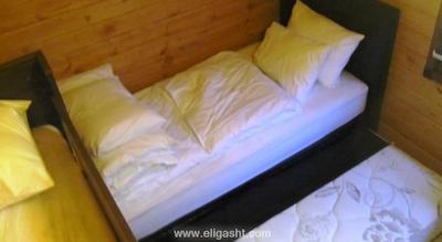 گوماس پالاس گونگورن