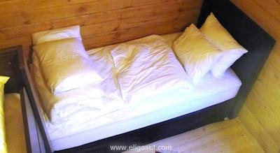 گوماس پالاس گونگورن