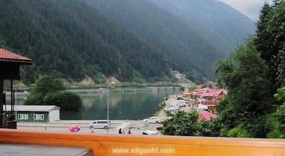 گوماس پالاس گونگورن