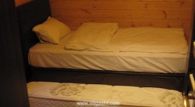 گوماس پالاس گونگورن