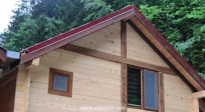 گوماس پالاس گونگورن