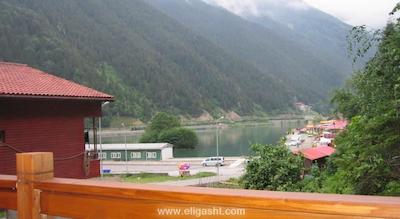 گوماس پالاس گونگورن