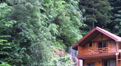 گوماس پالاس گونگورن