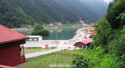 گوماس پالاس گونگورن