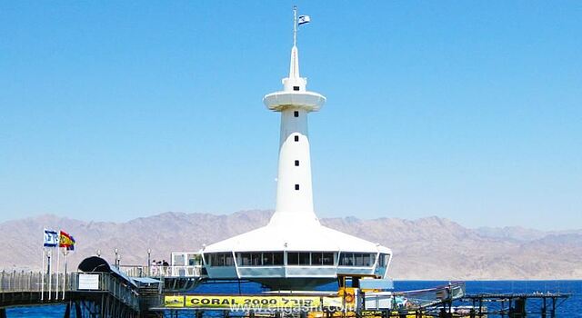 ارکید