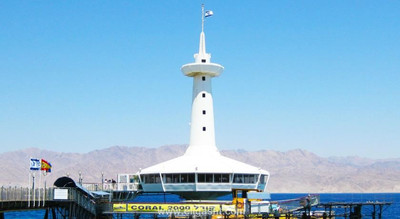 ارکید
