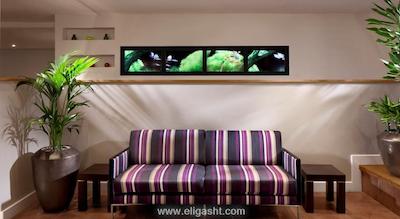 هتل بریستول