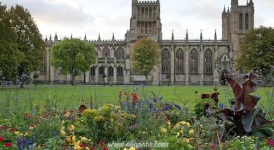 هتل بریستول