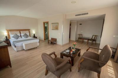 گرین پارک هتل تکسیم