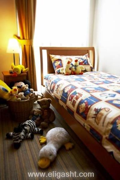 فریزر پلیس سنگاپور