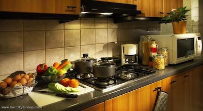 فریزر پلیس سنگاپور