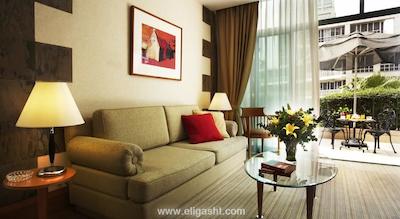 فریزر پلیس سنگاپور