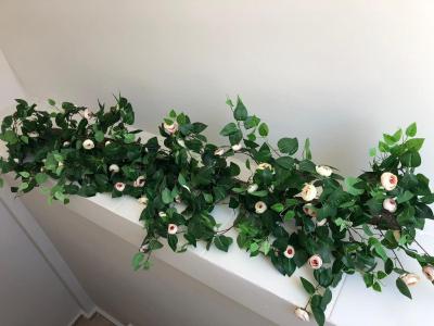 له سافرن سوئیت