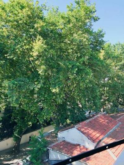 له سافرن سوئیت