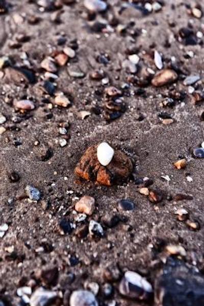 ال بهجه هتل