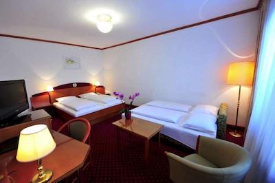 هتل پانسیون الا لنز