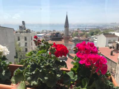 مویان سوئیت