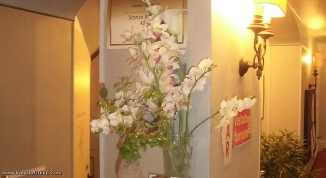 گالا