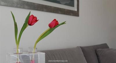 برزیل سوئیت بوتیک هتل