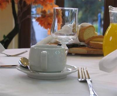 پارنیس پالاس هتل