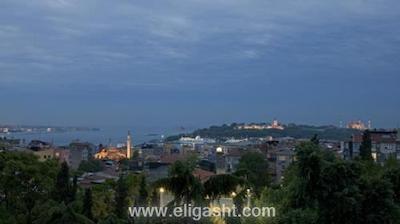 توم توم سوئیت