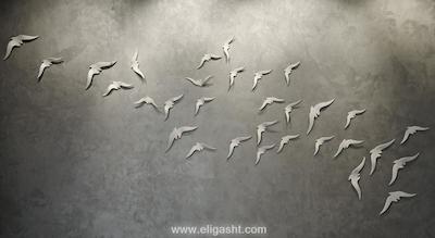 توم توم سوئیت