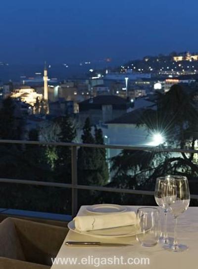 توم توم سوئیت