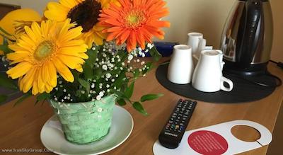 رزیدنس میرمنتیی