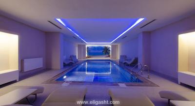 مانسول سوئیت گلدن هورن