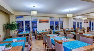 مانسول سوئیت گلدن هورن