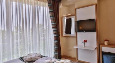 مانسول سوئیت گلدن هورن