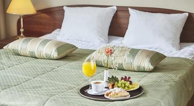 اسلاویانکا