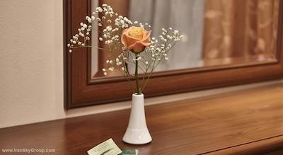 اسلاویانکا