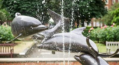 هاوس اپارت هتل