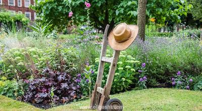 هاوس اپارت هتل