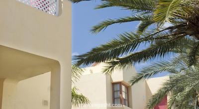 میلنیوم سوئیت