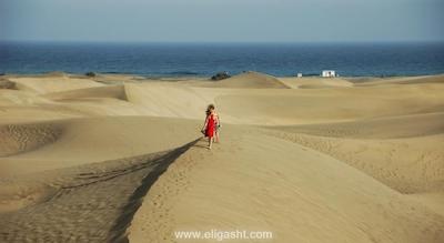 میلنیوم سوئیت