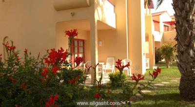 میلنیوم سوئیت