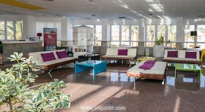 میلنیوم سوئیت