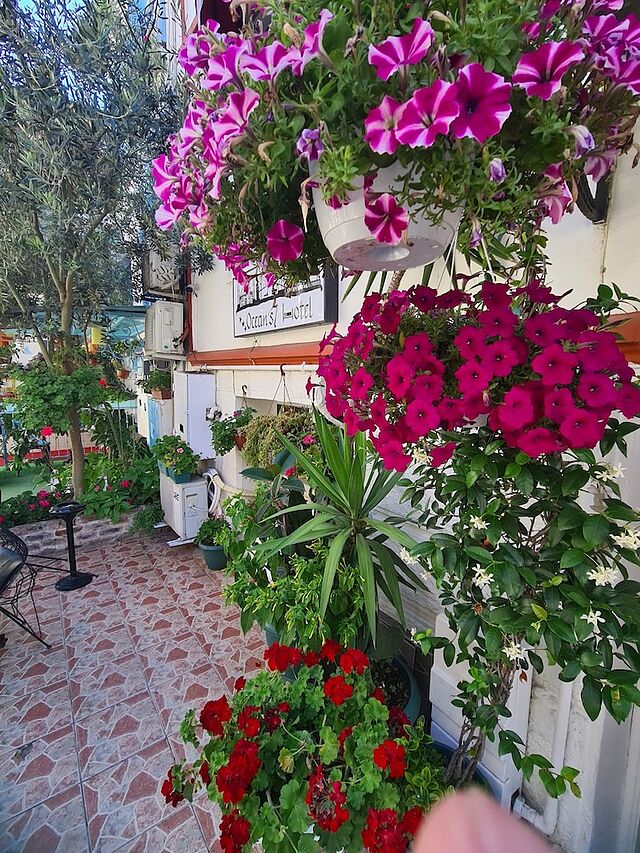 اوشنز 7