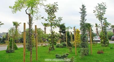 کاداک گاردن هتل