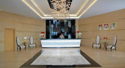 داماک میسون د ویل بریز